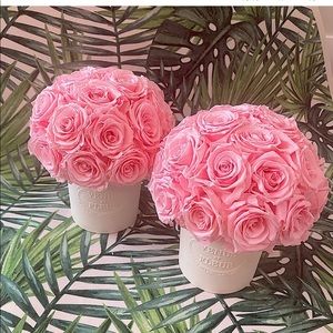 venus et fleur pink eternity forever rose porcelain fleura flora vase white NEW